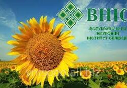 ВНІС