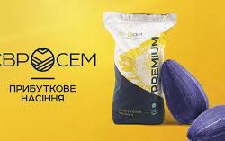 Євросем